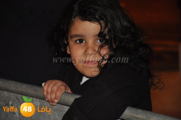 tree milad shajara (10).JPG